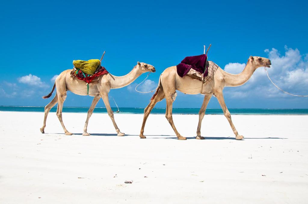 Mbili Kuwili Studio Suites Diani Beach Bagian luar foto